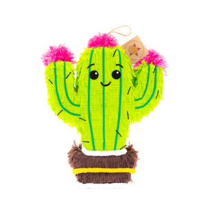 succulent pinata Cactus Pinata – Gotta Pinata Store