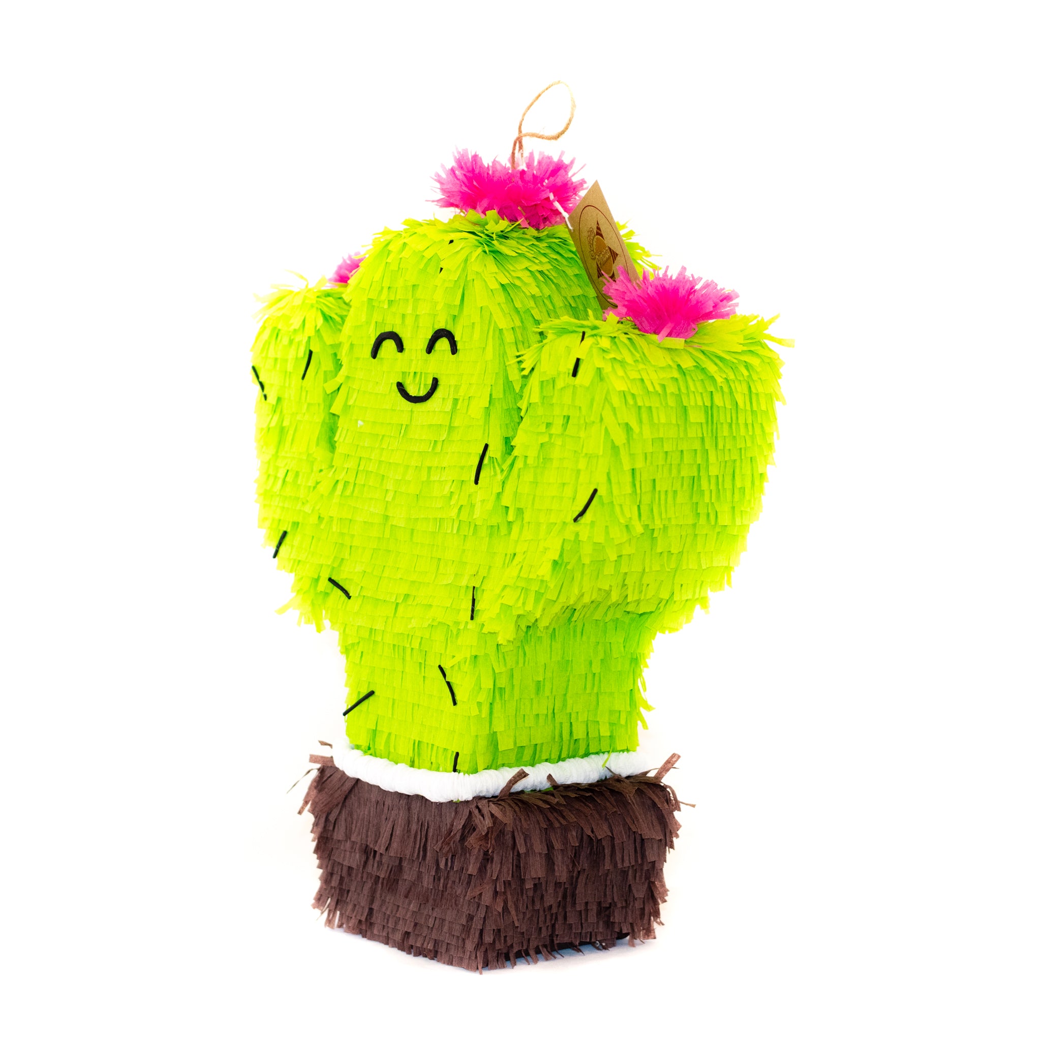 succulent pinata Cactus Pinata – Gotta Pinata Store